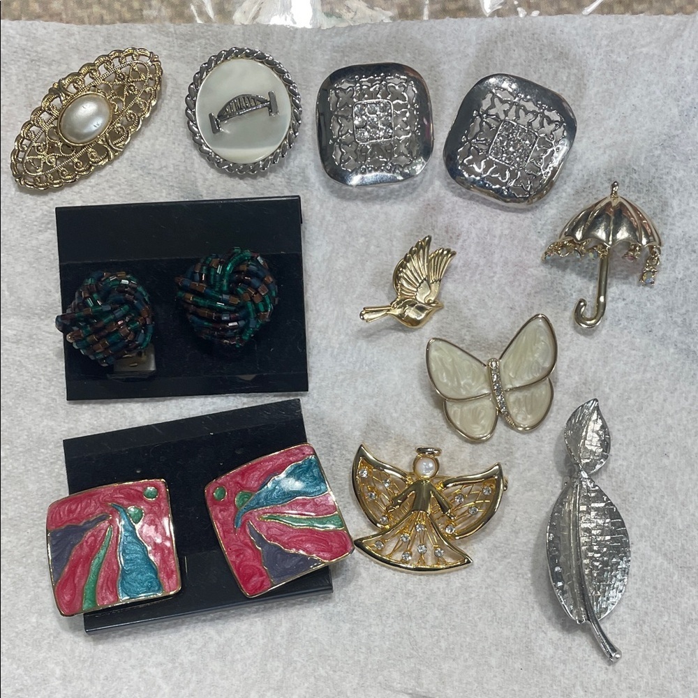 Elegant Silver and Gold brooch earing bundle